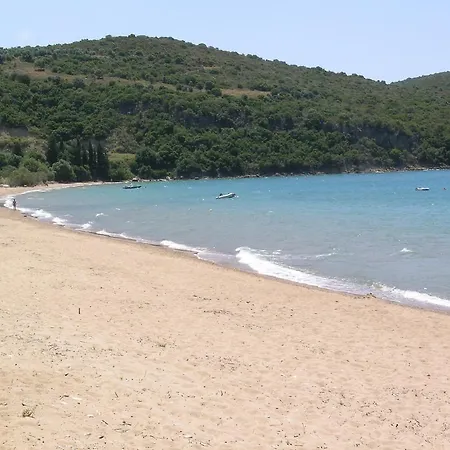 Schiza فينيكونتا